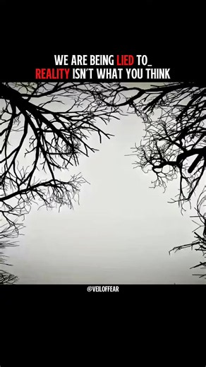 Part 1| The mystery of Moving Tree's😰 #movingtrees #mystery #mysterytok #crimestories #viral