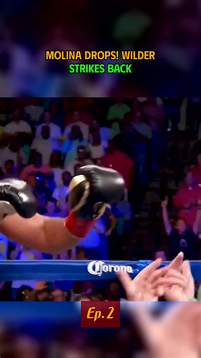 Top Heavyweight Boxing Knockouts and Highlights