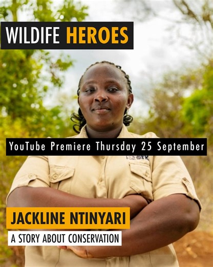 Wildlife Heroes: Stories of Courage, Care and Conservation 🎬 Premieres in just 2 days! From remote bush rescues to frontline veterinary care, Wildlife Heroes reveals the untold stories of Africa’s conservation champions. Episode 1: Jackline Ntinyari – A Story About Conservation Discover Jackline’s inspiring work on the frontlines of wildlife protection. 📅 Premiere: Thursday 25th September at 15:00 BST Set your reminder and be part of the launch! 👇 https://bit.ly/4pB2NQh 🎬Leakey Studios | Bor
