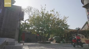 2.1K views · 19 reactions | New CGTN Documentary: From Village Hall...