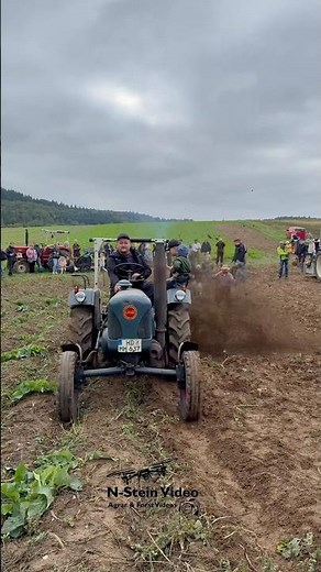 Lanz Bulldog with potato slinger | Potato harvest 2025 at the Dühren threshing community