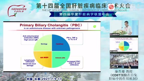 廉哲雄 ：CD8 T细胞在自身免疫性肝病中的作用机制