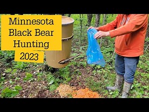 2023 Minnesota Black Bear Hunting