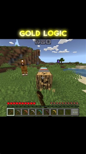 Minecraft Gold Logic ✨