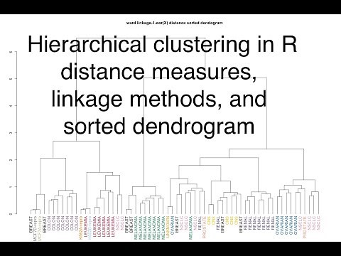 Understanding Hierarchical Clustering in R Distance Measures and Linkage Methods 📊