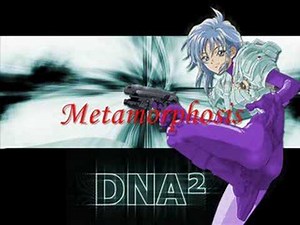 Metamorphosis
