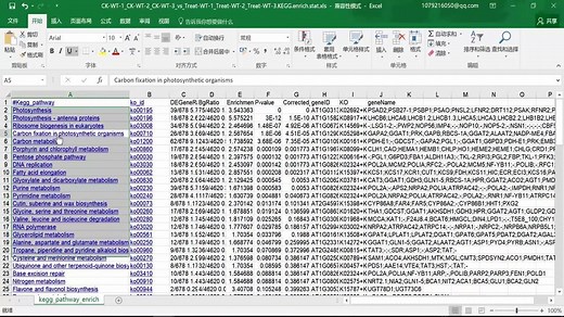 转录组RNA-seq结果解读-组学生物
