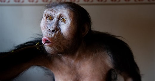 Prague to host first-ever European display of Lucy, the 3.18-million-year-old human ancestor