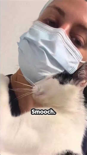 When the Vet Tech falls in love with the patient! 😻