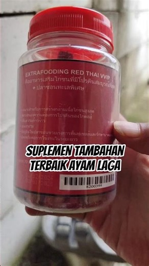 Extrafooding Red Thailand VIP - Suplemen Tambahan Terbaik Ayam Laga