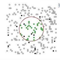 Video: Measuring Diffusion Coefficients via Two-photon Fluorescence Recovery After Photobleaching