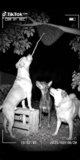 what goes round comes around | Cindy Adjei | Facebook