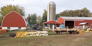Field of fun: Agritourism season is underway