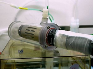 In vitro Cell Culture Model for Toxic Inhaled Chemical Testing