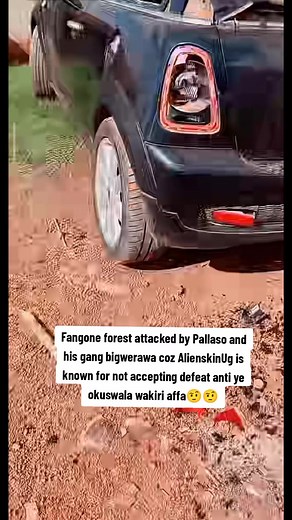 Unruly Fifi🤩FPF🥀 (@fifiwaalienskin2promax)’s videos with original sound - sekretbeatbaddest