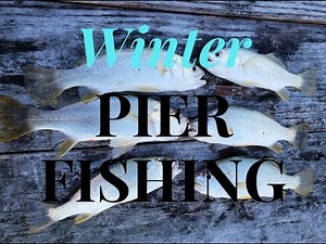 Winter Saltwater Pier fishing on Broad River Pier Beaufort SC