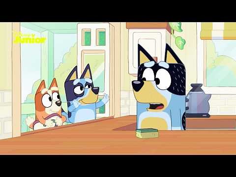 Bluey - Brincar com Bluey vol. 1