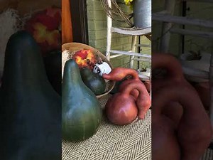 How to Paint Gourds for Fall Decorations