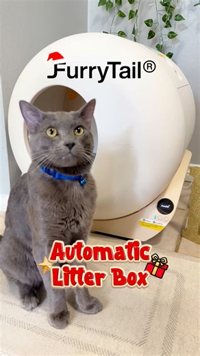 Smart & Stylish | Zeynep Bahar on Instagram: "Some Christmas gifts are life-changing… and this one was clearly chosen with paws in mind 🎄🐾 The FurryTail Automatic Litter Box Pro quietly takes care of everything after every visit — clean, smart, and effortless. No scooping, no mess, no stress. Just a happy cat and a much easier routine at home. It’s safe, quiet, and fully automatic — and yes, it can even be managed right from your phone. Less cleaning for me, more comfort for Milo… exactly how