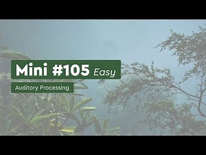 Auditory Processing Activity - Mini Packet 105 - Easy