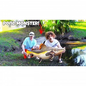 I Caught The POND MONSTER! is a FUN and EXCITING video where the boys and I go fishing for MONSTER EXOTIC Aquarium Fish in a small pond that we knew holds some insane fish! Someone had tipped us off on the whereabouts on some smaller cichlids and upon fishing for this smaller fish we had discovered there was SEVERAL Pond Monsters in this pond! Those we won't reveal until we catch them but we did catch a nice REDTAIL CATFISH! Luckily, we did have access to Bass Fishing Productions backyard pond w