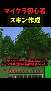 A Minecraft Beginner Creates an Original Skin! #shorts #minecraft #minecraft