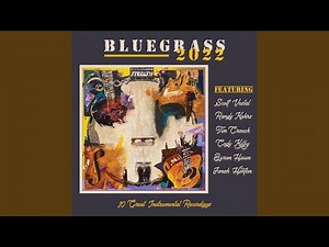 Steam Powered Aereo Plane