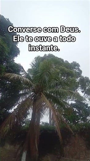 Se abra com Deus. #jesus #fe #deustemumapalavrapravoce