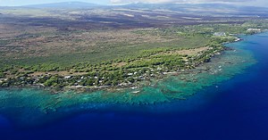 Restoring Hawaiʻi’s Reefs