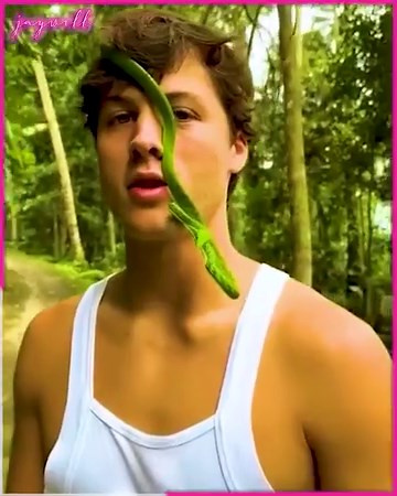 Animals with an aloof attitude! | JayWill