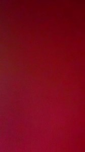 31K views · 331 reactions | Closet organization made easy with these must-haves! From seamless categorization to space-saving efficiency, these smart solutions will transform your closet into a tidy haven. Say goodbye to wardrobe chaos and hello to a neatly organized closet space! 痢 ⁣ | Julie Eigenmann | Facebook