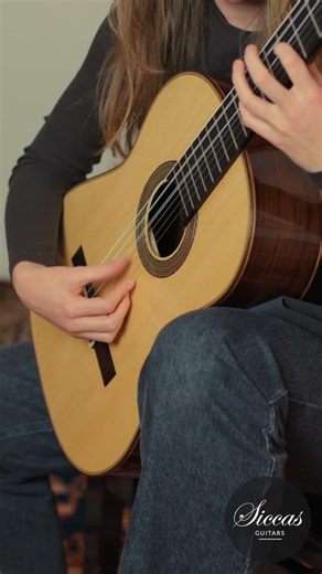 🎬 The Godfather's Theme on a Kristof Meeus 2025 Guitar! 🔥