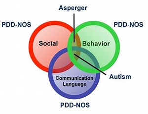Types of Autism Spectrum Disorders