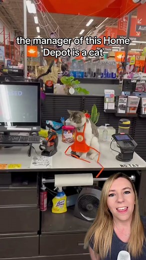 Home Depot Store Manager Cats in New Jersey