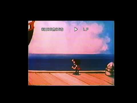 tweety and friends 1993 kids klassics vhs