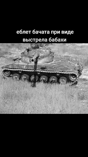 Maus Tank in Grassy Field: Static Military Display