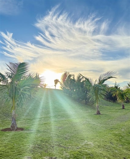 As consciousness develops, the meaning of life becomes clearer. Through the practice of Transcendental Meditation®(TM), we learn to live in the light of awareness. When awareness is limited, life can feel unclear; where we are going, why we are here, and why suffering exists. Turning toward consciousness brings clarity. This is what enlightenment means. How are you living in the light? Follow me, Dr. Tony Nader, for more meditation and happiness. #Maharishi #enlightenment #transcendentalmeditati