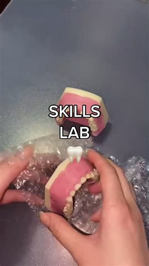 Dental Cuvette Skills Lab