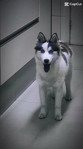 Au #deustemumapalavrapravoce