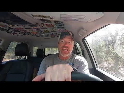 Hand Planting Longleaf Pine Trees