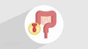 آپاندیس کجاست؟   آناتومی، عملکرد و علائم بیماری آپاندیسیت (فیلم آموزش رایگان) | فرادرس