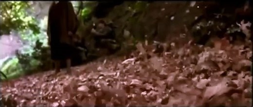 Le seigneur des anneaux : la communauté de l'anneau