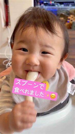 スプーンで上手に食べる生後３１０日の赤ちゃん😊✨#パパ#ママ#かわいい#孫#生後１０ヶ月#離乳食#育児