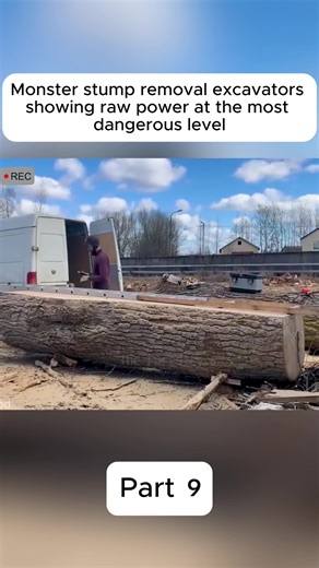 Monster stump removal excavators showing raw power at the most dangerous level#heavymachines #chainsaw #excavator #fyp#foryou