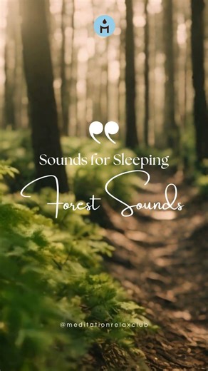 Sounds for Sleeping: Forest Sounds