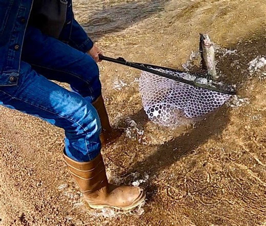 River fishing in a most unlikely Denver spot