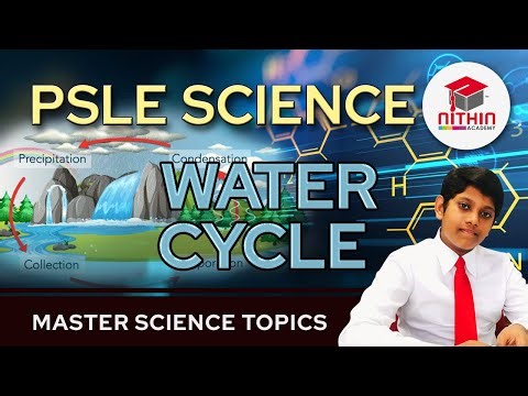 PSLE SCIENCE | WATER CYCLE | Primary 5 & 6 Singapore | Master Science Topics