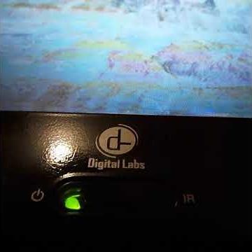 Opening To Old Yeller 1994 VHS