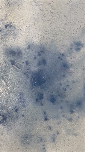 The Seep: Life-Giving Water on the Range