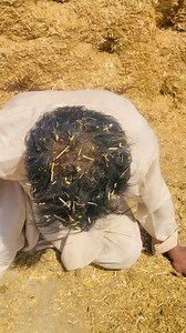 692K views · 10K reactions | Fraud Hoo Gia    #Villagelife #everyone #shorts #NewChallenge #funnypost #viral #OMG | Johnnybhutta | Facebook